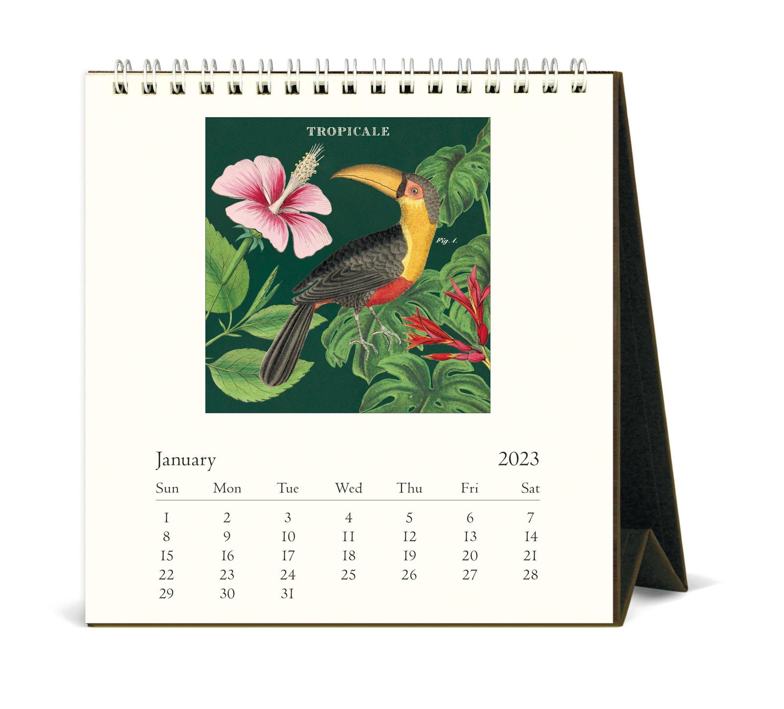 Buy Cavallini & Co Vintage Tropicale Desk Calendar (2023) at Mighty