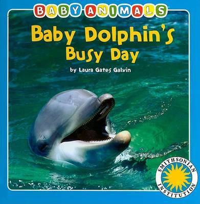 Baby Dolphin's Busy Day by Laura Gates Galvin image