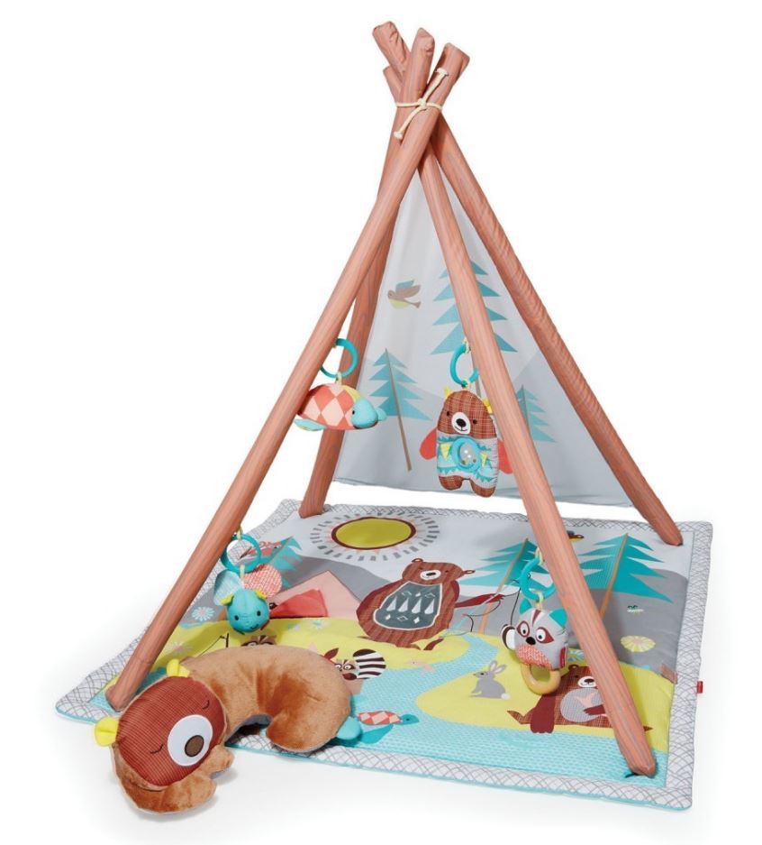 Skip Hop Camping Cubs Activity Gym image