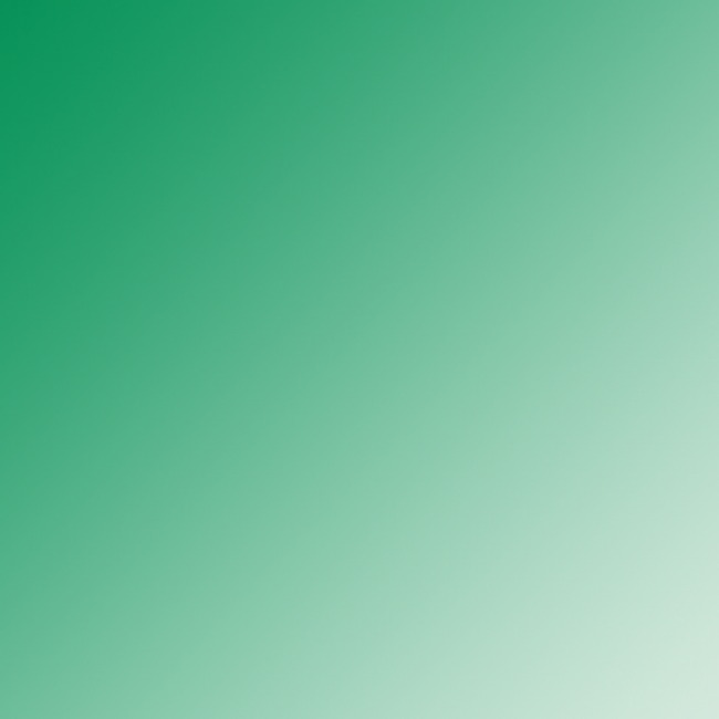 Citadel Shade Paint: Biel-Tan Green | at Mighty Ape NZ