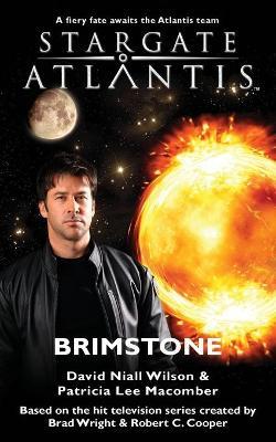 Stargate Atlantis: Brimstone: SGA-13 by David Niall Wilson image