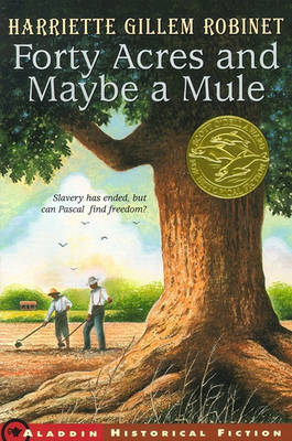 Forty Acres and Maybe a Mule by Harriette Gillem Robinet image