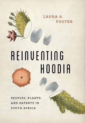 Reinventing Hoodia by Laura A Foster image