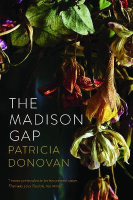 The Madison Gap by Patricia Donovan image