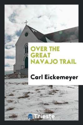 Over the Great Navajo Trail by Carl Eickemeyer image