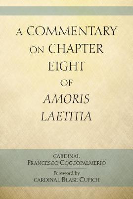 A Commentary on Chapter 8 of Amoris Laetitia by Francesco Coccopalmerio image