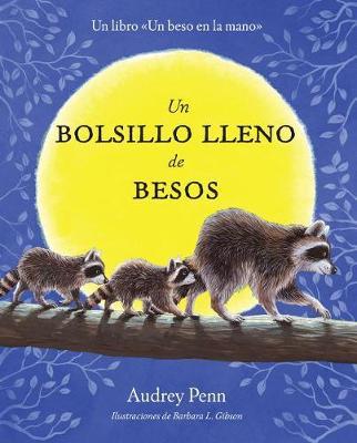 Un Bolsillo Lleno de Besos by Audrey Penn image