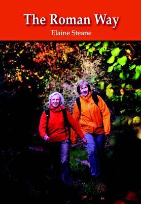 Roman Way by Elaine Steane image