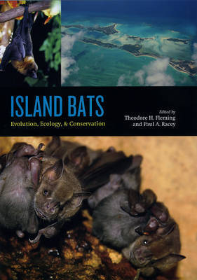 Island Bats image