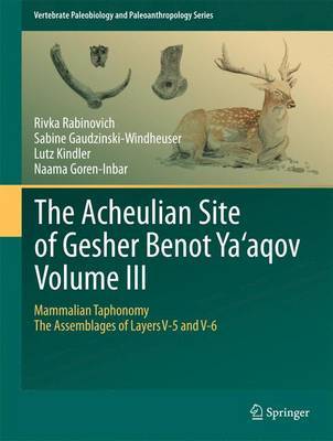 The The Acheulian Site of Gesher Benot Ya'aqov: Volume III by Rivka Rabinovich image