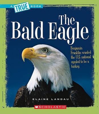 The Bald Eagle by Elaine Landau image