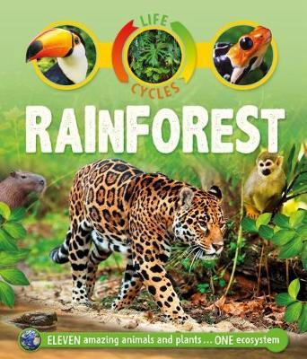 Life Cycles: Rainforest on Hardback by Sean Callery