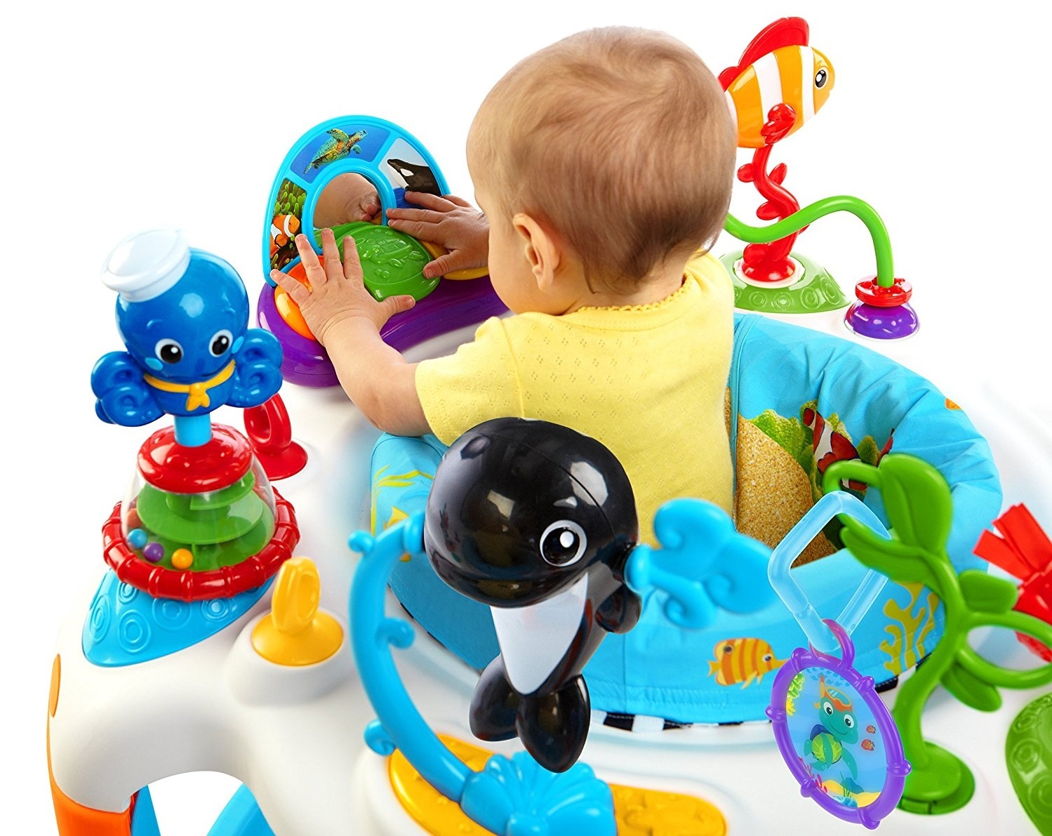 rhythm of the reef activity saucer