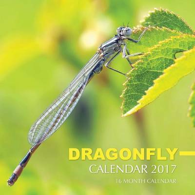 Dragonfly Calendar 2017 on Paperback by David Mann