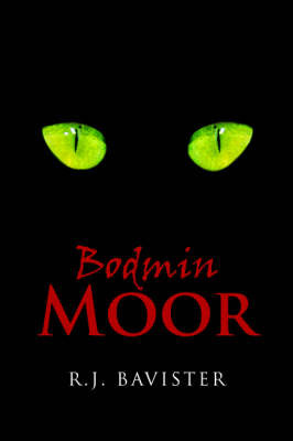 Bodmin Moor by R. J. Bavister