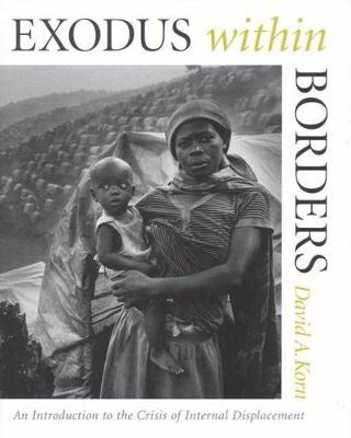 Exodus within Borders by David A Korn image