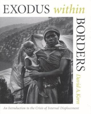 Exodus within Borders on Hardback by David A Korn