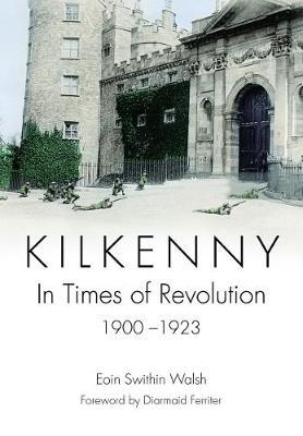 Kilkenny by Eoin Swithin Walsh image