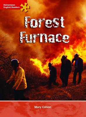 HER Intermediate Level Non-Fiction: Forest Furnace image