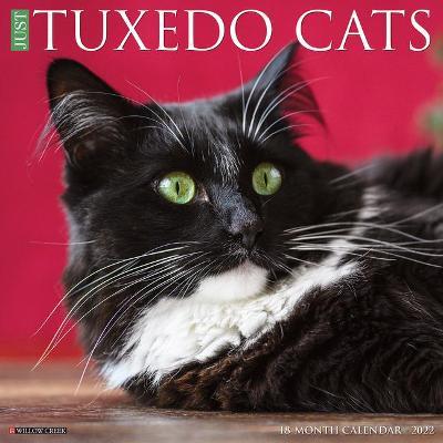 Just Tuxedo Cats 2022 Wall Calendar (Cat Breed) | Willow Creek Press Book |  Buy Now | at Mighty Ape NZ