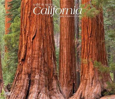 California Wild & Scenic 2019 Deluxe by Inc Browntrout Publishers