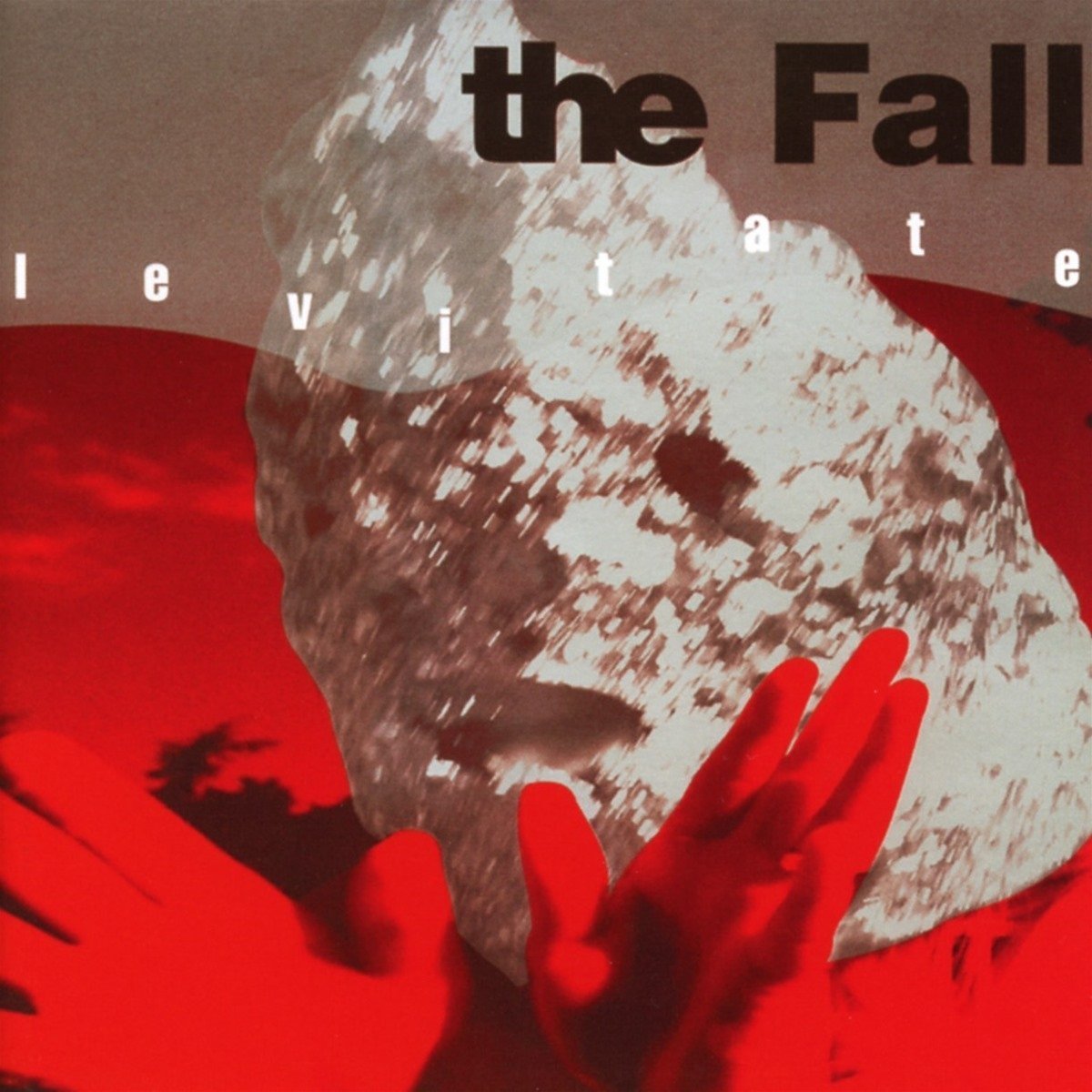 Levitate: LP Edition on Vinyl by The Fall