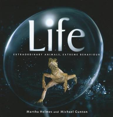 Life by Martha Holmes image