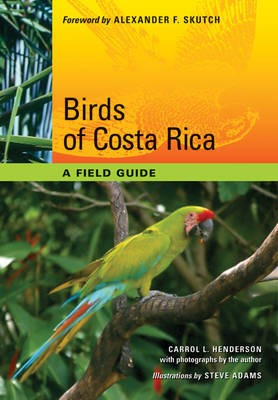 Birds of Costa Rica by Carrol L Henderson image