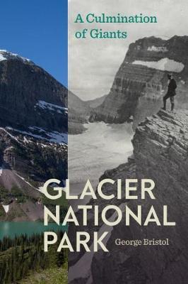 Glacier National Park by George Bristol image