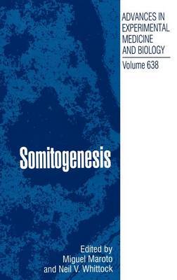 Somitogenesis on Hardback