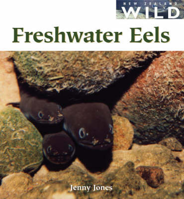 Freshwater Eels on Paperback by J.Jones