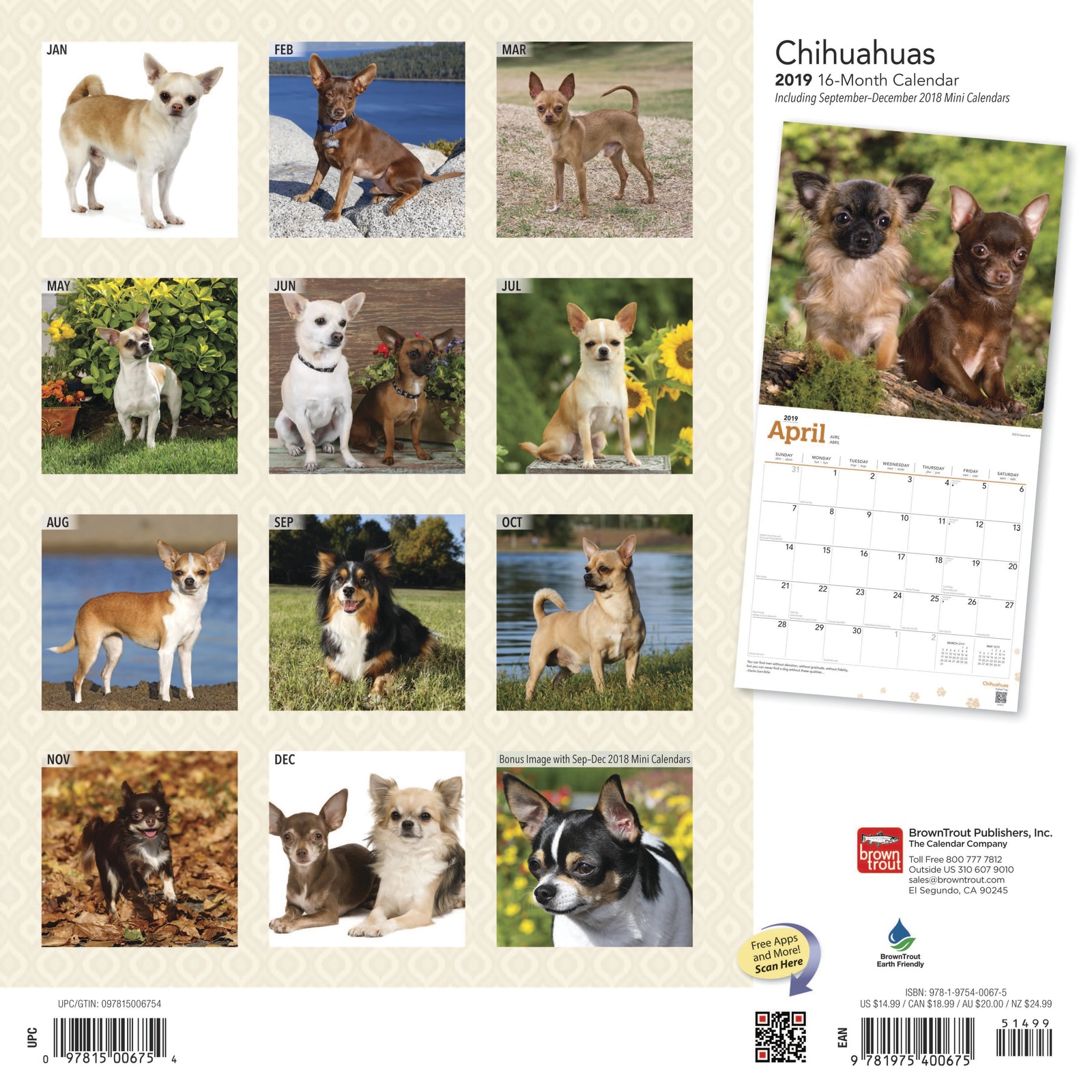 Chihuahuas 2019 Square Wall Calendar by Inc Browntrout Publishers image
