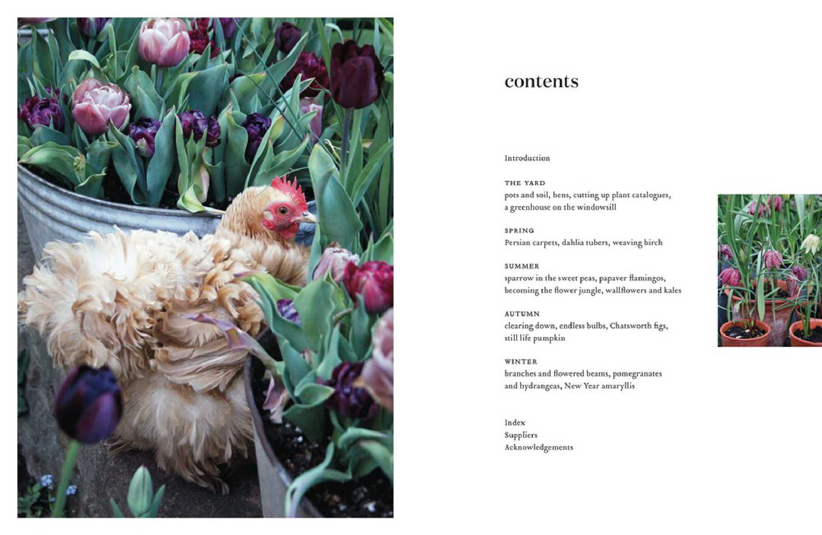 The Flower Yard Arthur Parkinson Book InStock Buy Now at