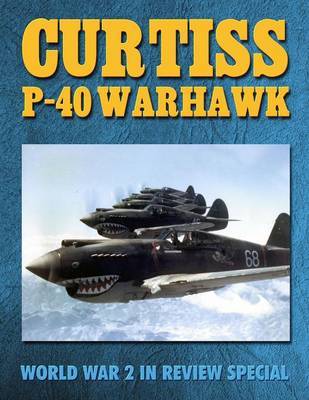 Curtiss P-40 Warhawk by Ray Merriam image
