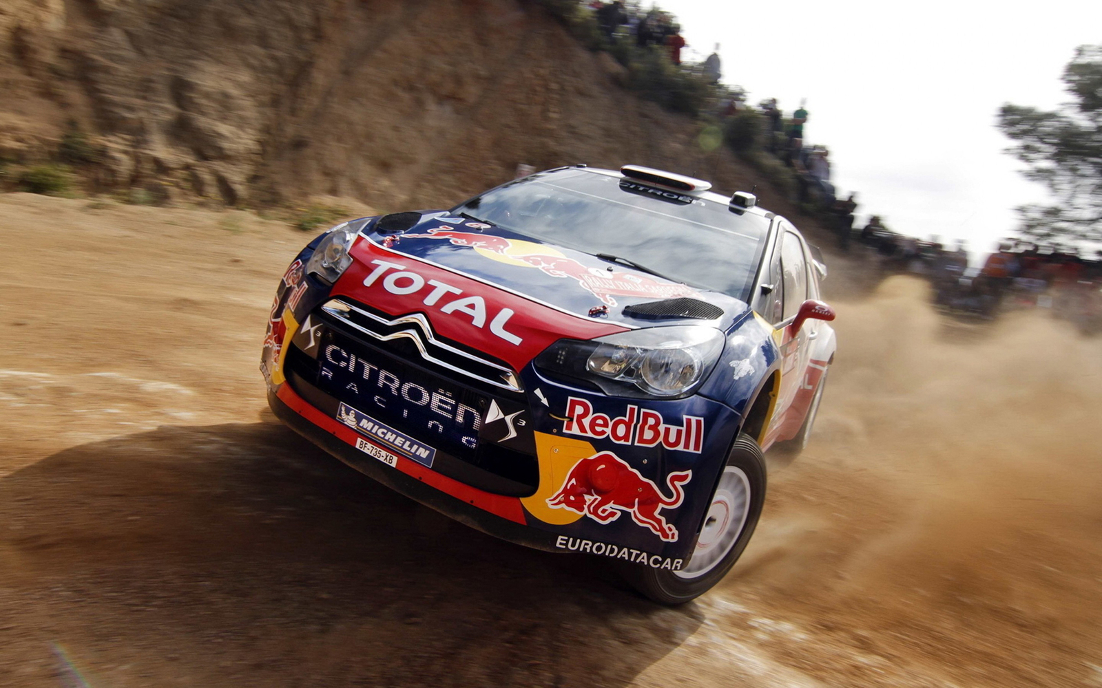 Sebastien Loeb Rally Evo image