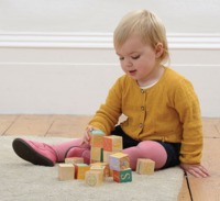 beatrix potter wooden blocks