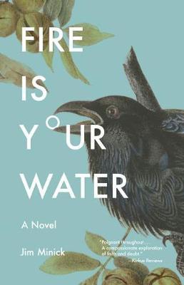 Fire Is Your Water by Jim Minick image