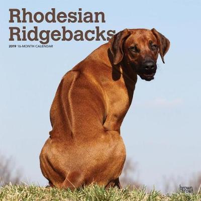 Rhodesian Ridgebacks 2019 Square Wall Calendar image