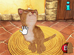My Best Friends - Cats & Dogs for Nintendo DS image