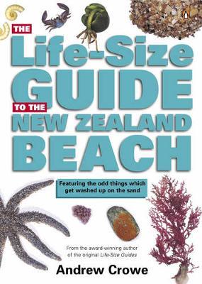 The Life-size Guide to the New Zealand Beach by Andrew Crowe image