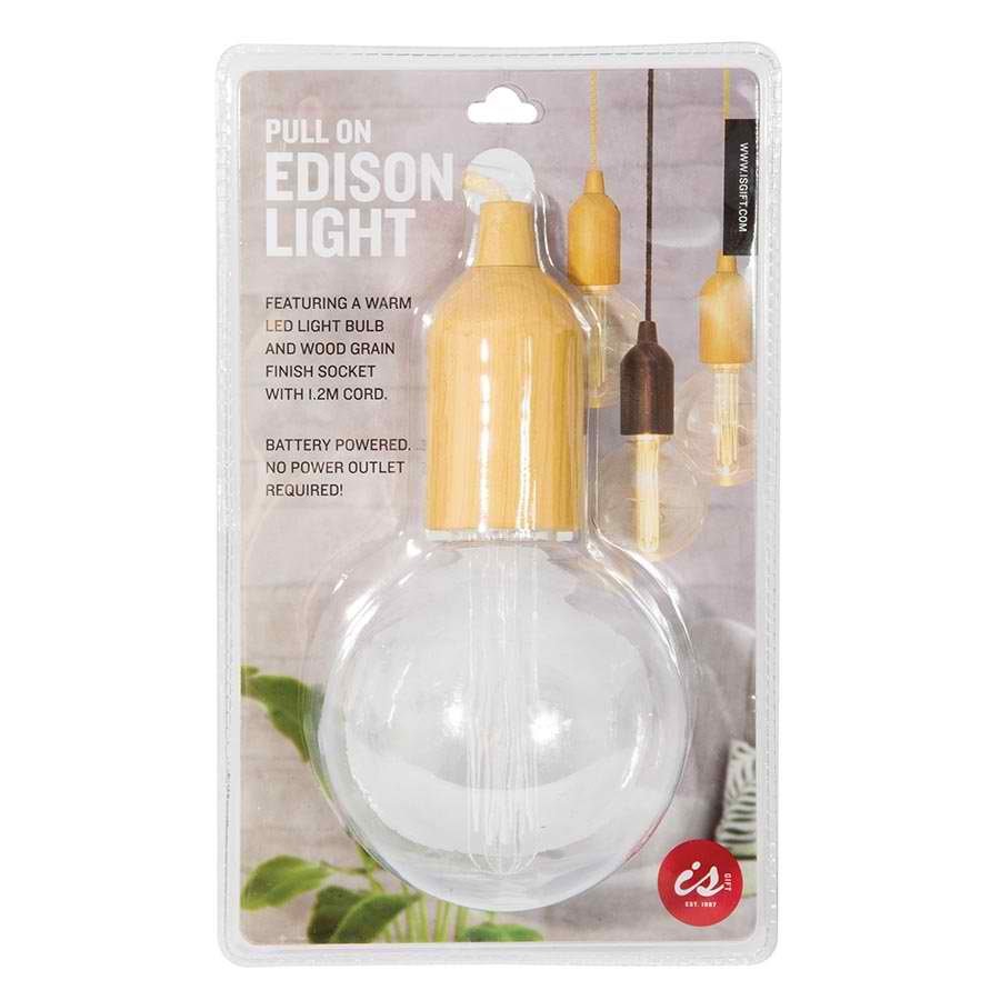 Pull On Edison Light image