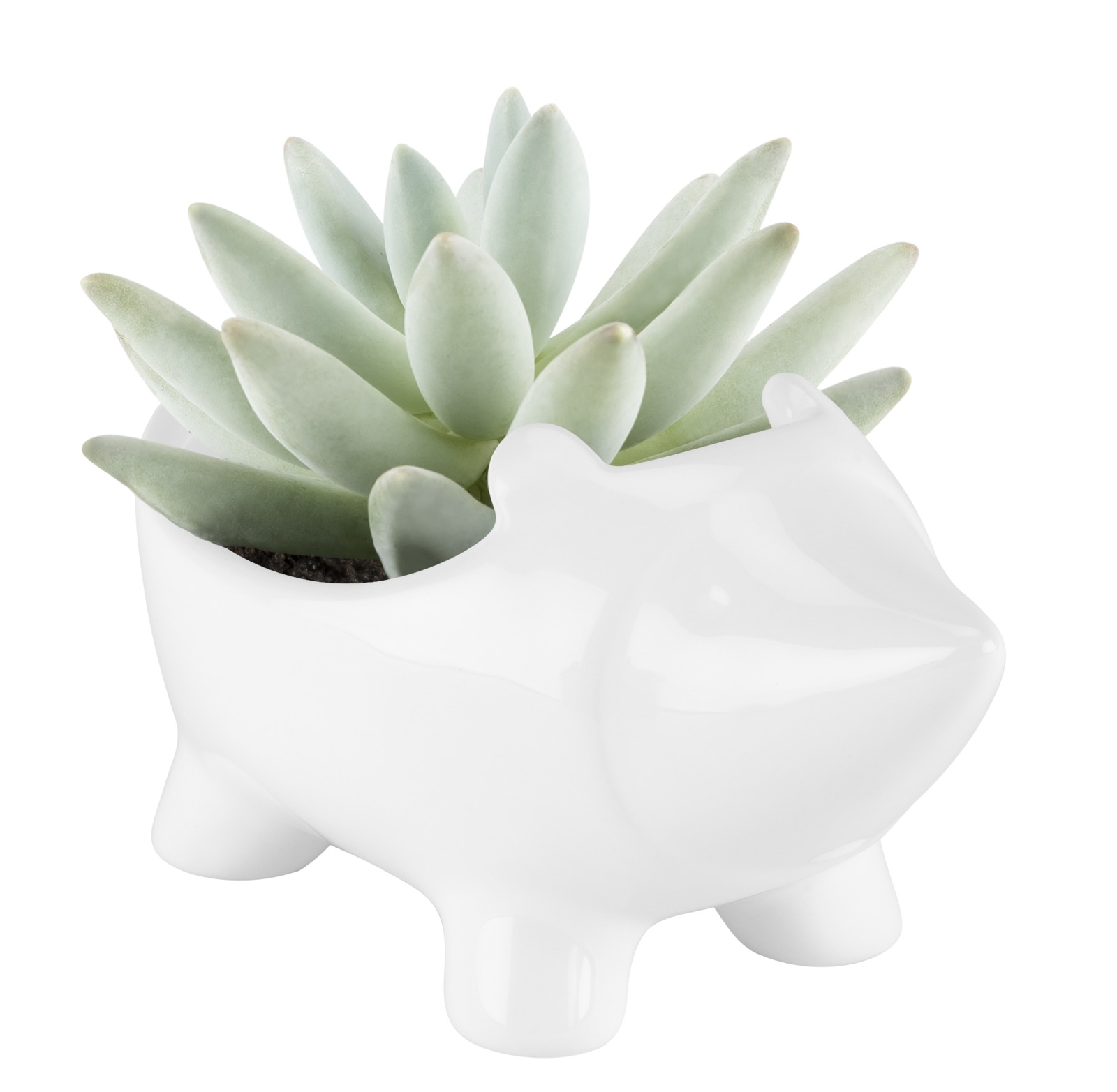 TrueZoo: Hedgehog Planter- White image