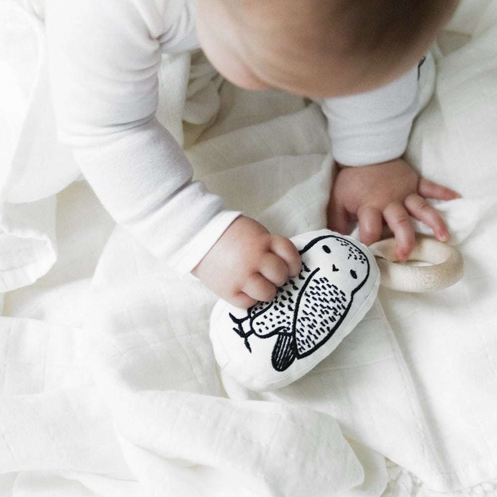 Wee Gallery: Organic Cotton Rattle - Owl image