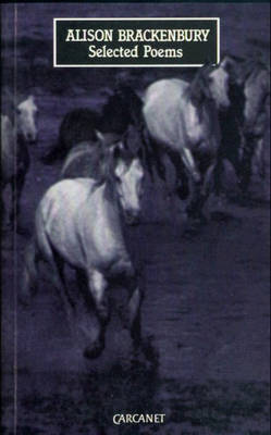 Selected Poems by Alison Brackenbury image
