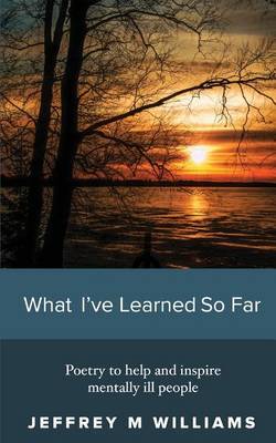 What I've Learned So Far by Jeffrey M Williams image