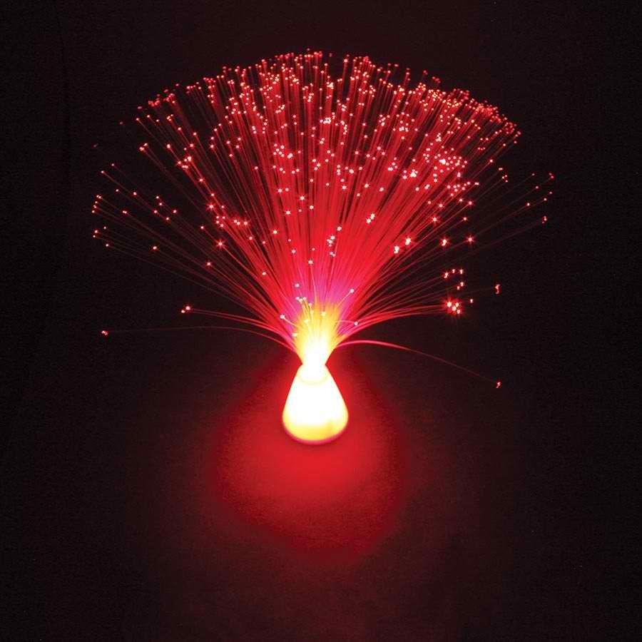 Fibre Optic Lamp image