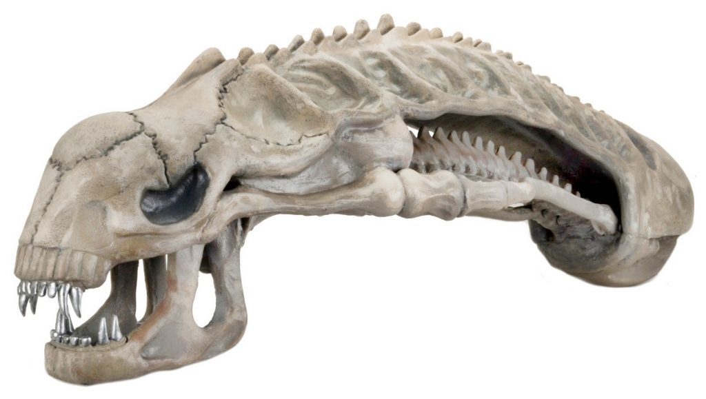 Xenomorph Skull - 36" Foam Replica image