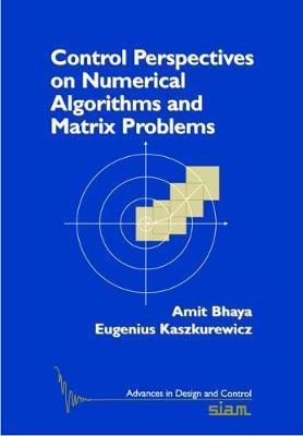 Control Perspectives on Numerical Algorithms and Matrix Problems by Amit Bhaya