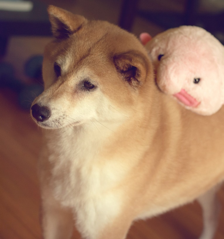 Blobfish - Mini Stuffed Plush Toy image