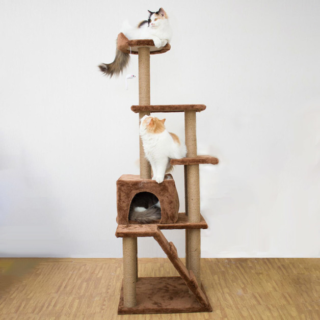 Buy Ape Basics Cat Climbing Frame (Medium/Large) at